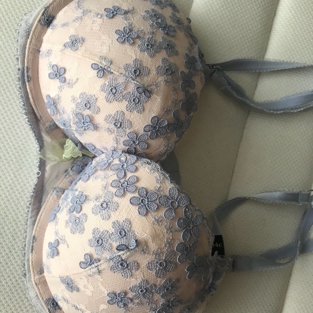 New Victoria Secrets designer Demi push-up